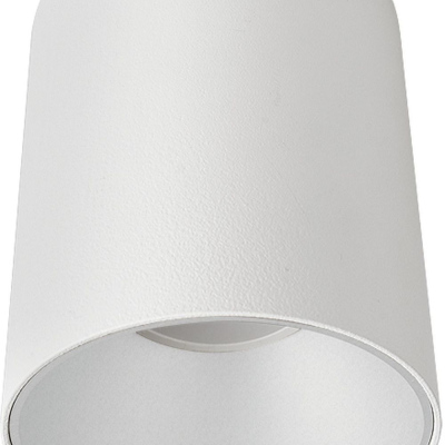 Přisazené stropní LED osvětlení EYE TONE, GU10, 1x10W, 8,9cm, kulaté, bílostříbrné