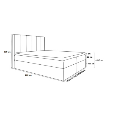 Čalouněná jednolůžková postel Daria černá 120 + toper zdarma