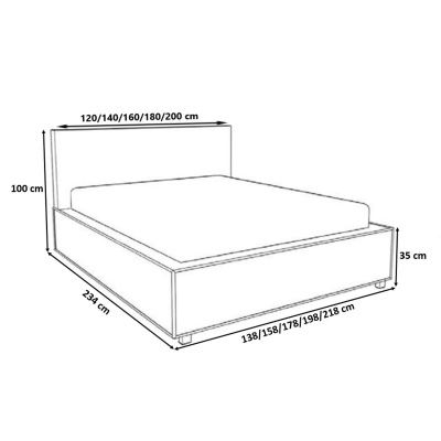 Čalouněná postel s chromovanými doplňky 120x200 YVONNE - černá eko kůže