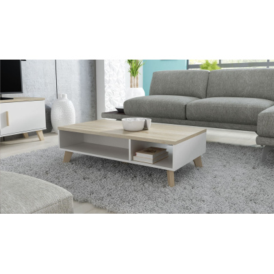 Konferenční stolek COLINA 1 - dub sonoma / bílý