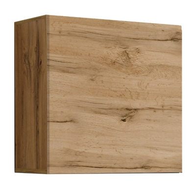 Stěna do obývacího pokoje RIONATA 7 - černá / dub wotan