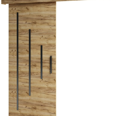 Posuvné dveře s černými prvky SALOME 11 - dub craft