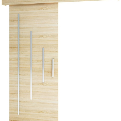 Posuvné dveře se stříbrnými prvky SALOME 11 - dub sonoma
