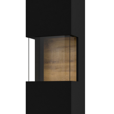 Moderní prosklená vitrína BONA - černá / wotan