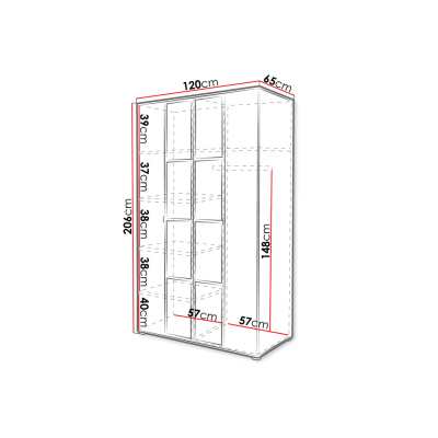 Šatní skříň se zrcadlem 120 cm HONG 1 - dub artisan / černá