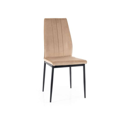 Čalouněná židle BRITA - béžová / černá