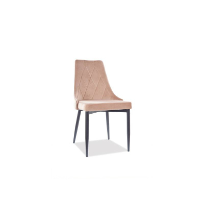 Čalouněná jídelní židle OTKA 1 - černá / béžová