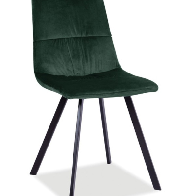 Čalouněná židle JANTRA - černá / zelená