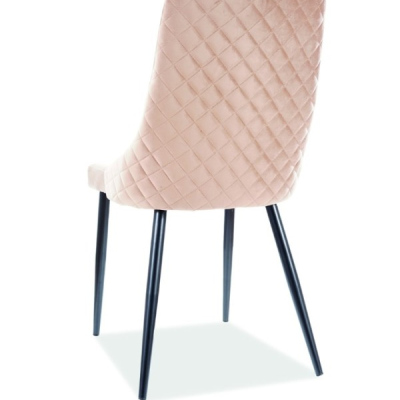 Čalouněná židle LOTKA 2 - černá / béžová