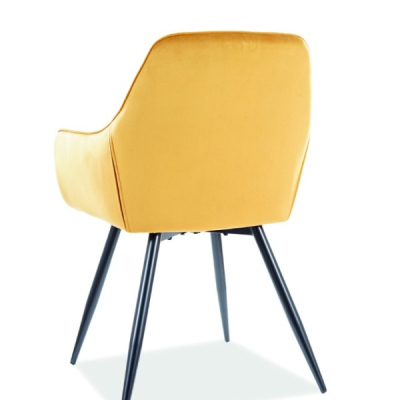 Čalouněná jídelní židle OLYMPIA - černá / žlutá