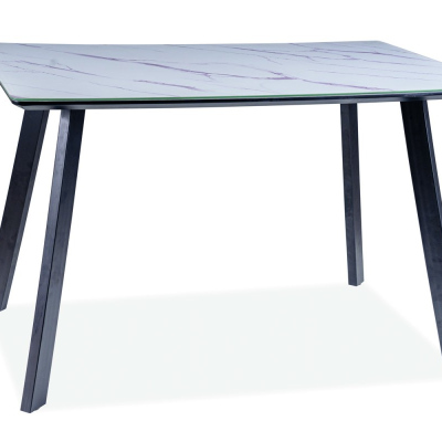 Jídelní stůl GERLACH - 120x80, bílý mramor / matný černý