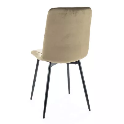 Čalouněná jídelní židle WIEKA - černá / olivová
