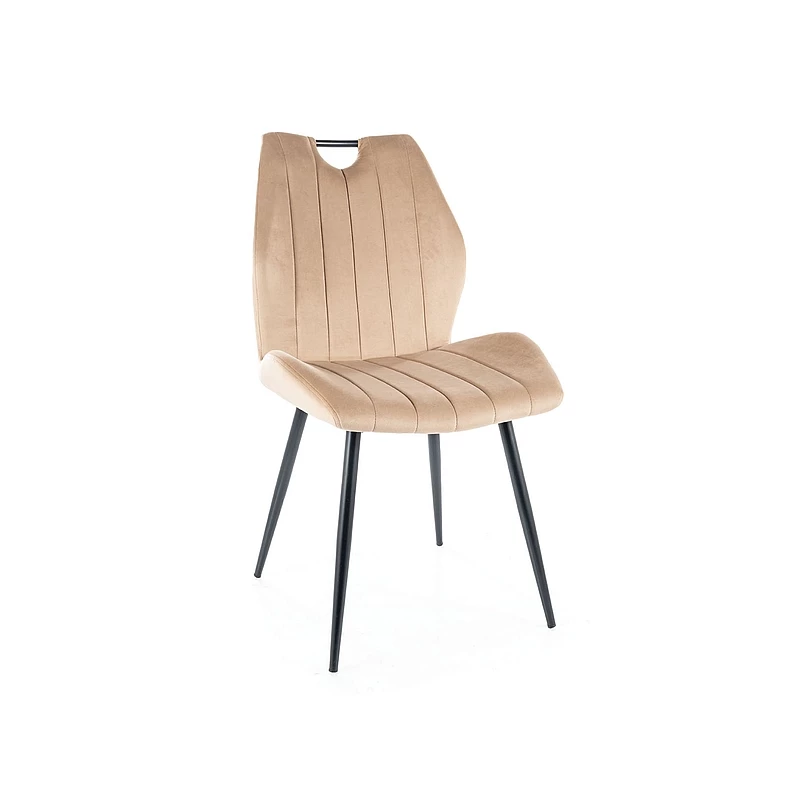 Čalouněná židle ANIKA - černá / béžová