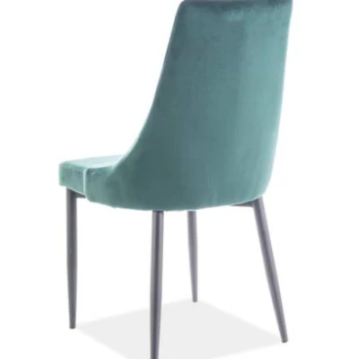 Čalouněná jídelní židle OTKA 1 - černá / zelená