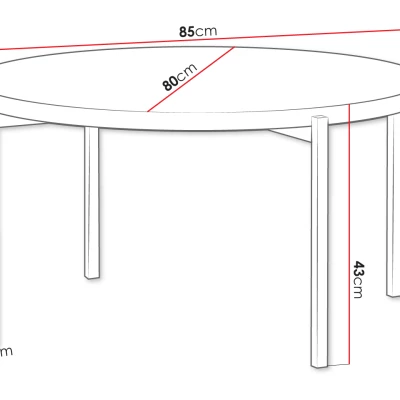Konferenční stolek PASQUAL 1 - černý / bílý