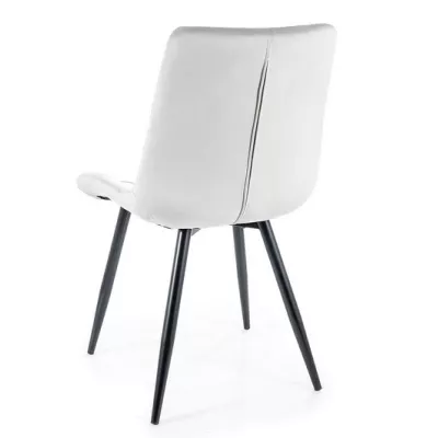 Čalouněná jídelní židle WILMA - černá / světle šedá