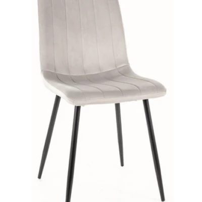 Čalouněná židle KASHA - černá / světle šedá