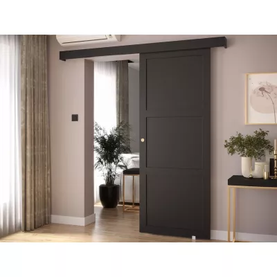 Posuvné dveře MANOLO 2 - 90 cm, černé