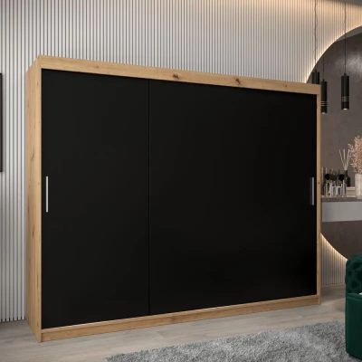 Skříň s posuvnými dveřmi v šířce 250 cm TIMEA - dub artisan / černá