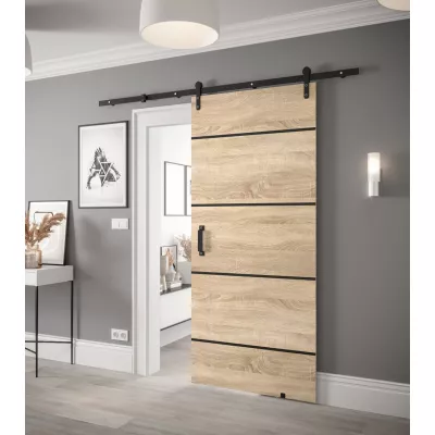 Posuvné dveře s kováním LEONTINA 3 - 90 cm, dub sonoma