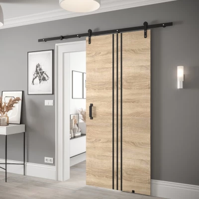 Posuvné dveře s kováním LEONTINA 6 - 90 cm, dub sonoma