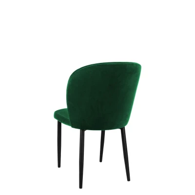 Čalouněná jídelní židle MOREEN - černá / zelená