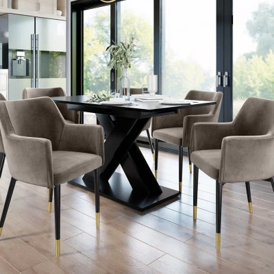 Čalouněná jídelní židle HAUMON - černá / zlatá / tmavá šedá
