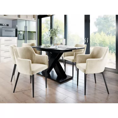 Čalouněná jídelní židle HAUMON - černá / béžová