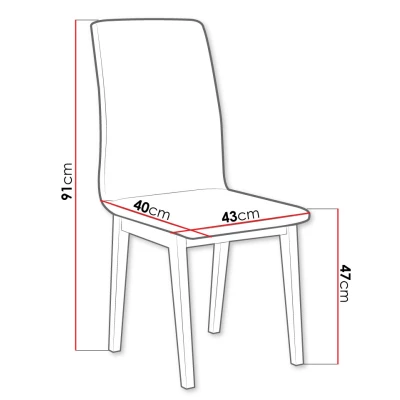Čalouněná židle do kuchyně ADKINS 1 - bílá / tmavá šedá