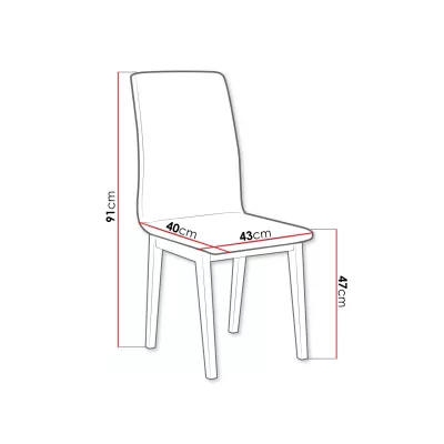 Čalouněná židle do kuchyně ADKINS 1 - bílá / černá