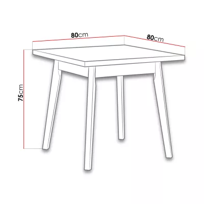Jídelní stůl 80x80 cm AMES 1 - bílý / černý