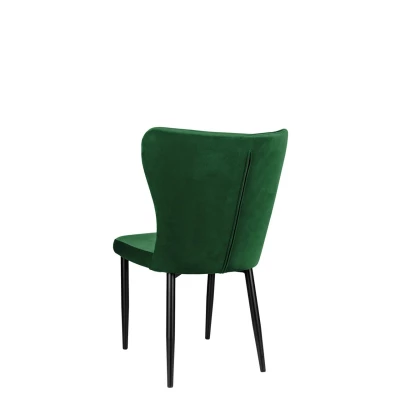 Kuchyňská čalouněná židle ZOLFO - černá / zelená