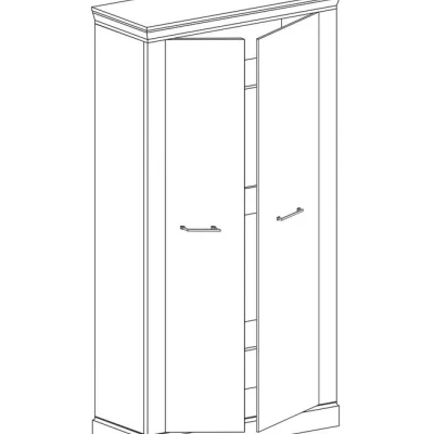 Dvoudveřová skříň AILISH - šířka 107 cm, dub kraft zlatý