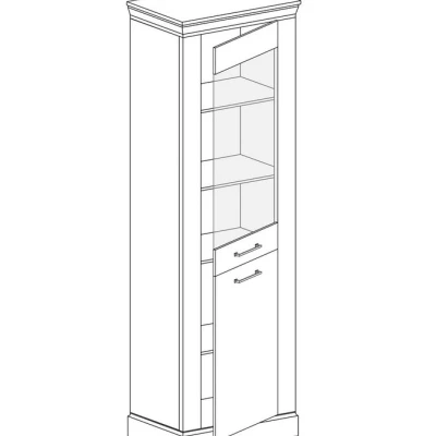 Úzká vitrína AILISH - dub kraft zlatý