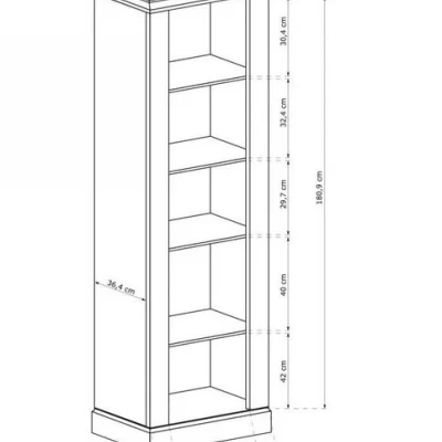 Úzká vitrína AILISH - dub kraft zlatý