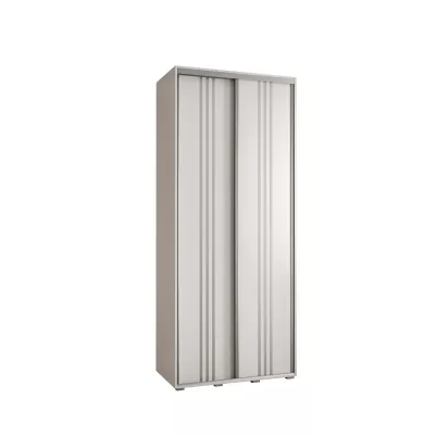 Šatní skříň ASIRI 6 - 100/60 cm, bílá / stříbrná
