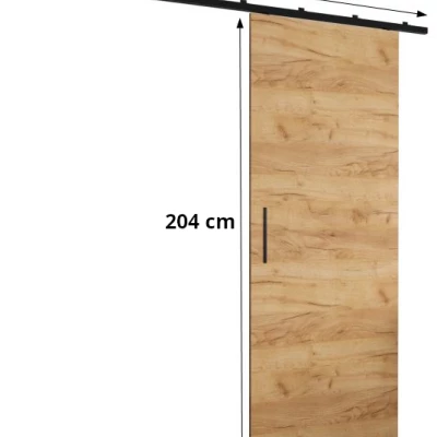Posuvné dveře se zrcadlem PERDITA 2 - 90 cm, černé
