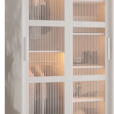 Šatní skříň SHERYL 1 - 100 cm, bílá / stříbrná