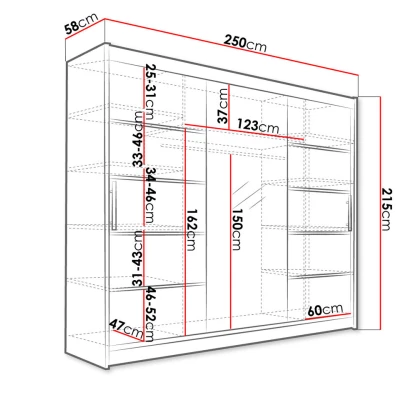 Velká šatní skříň se zrcadlem 250 cm HORTENSIA 4 - černá