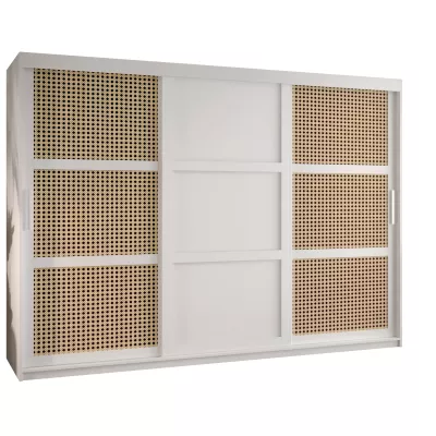 Šatní skříň HALIMA 3 - 250 cm, bílá / stříbrná