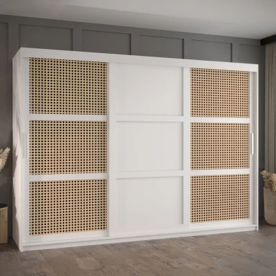 Šatní skříň HALIMA 3 - 250 cm, bílá / stříbrná