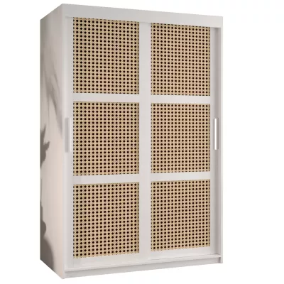 Šatní skříň HALIMA 1 - 120 cm, bílá / stříbrná