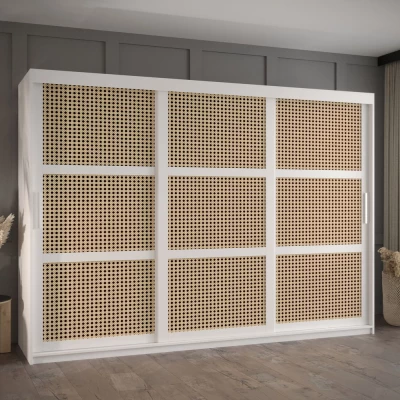 Šatní skříň HALIMA 1 - 250 cm, bílá / stříbrná