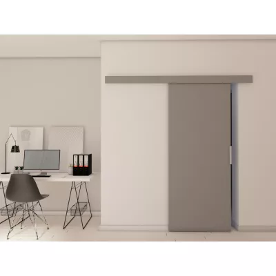 Posuvné dveře na stěnu BARRET 1 - 106 cm, šedé