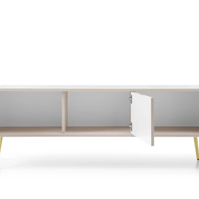 Televizní stolek LOTAS - bílý / zlatý