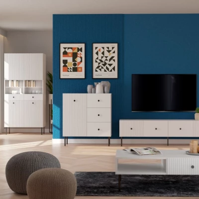 Široký televizní stolek HASKEL - bílý + černý