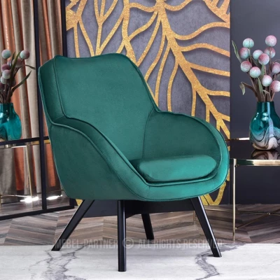 Čalouněné křeslo FLAVIO - zelené / černé