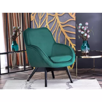 Čalouněné křeslo FLAVIO - zelené / černé