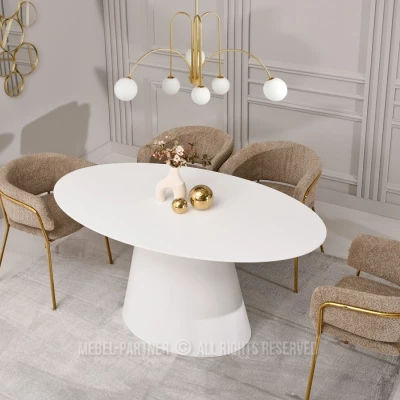 Oválný jídelní stůl 160x90 cm ELIAM - bílý