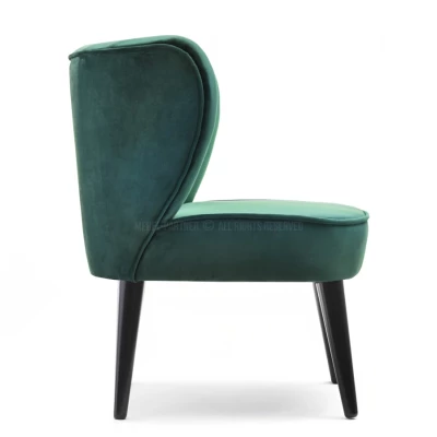 Čalouněné křeslo DINIS - zelené / černé